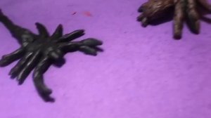 Эпичная битва паукообразных