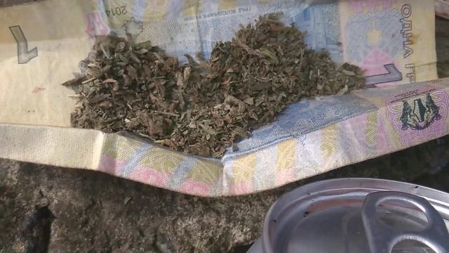 сорт: Northern Lights x смотреть онлайн