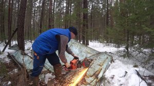 ОТКРЫЛ СЕЗОН МЕТАЛЛА КОПА В 2025 ГОДУ! ВЫВОЖУ МЕТАЛЛ ИЗ ЛЕСА! ТОФАЛАР ТУНДРА 600 НАЧАЛ ЗАРАБАТЫВАТЬ