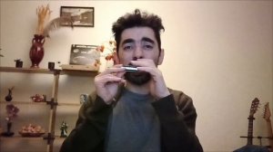 Импровизация в стиле Дефорда Бейли
#stratocastro