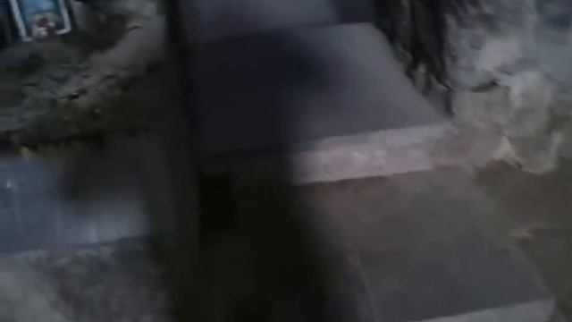Որոտնավանք