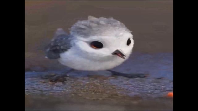 Piper смотреть онлайн