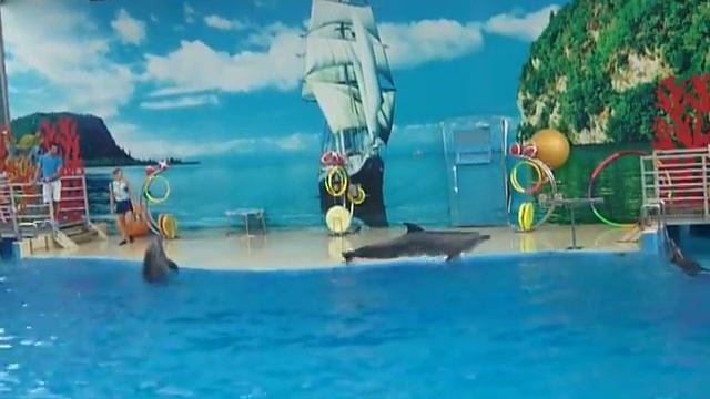 Немо дельфинарий смотреть онлайн