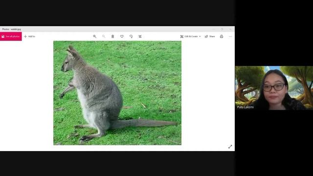 Ayo Selamatkan Hewan dan Tumbuhan смотреть онлайн