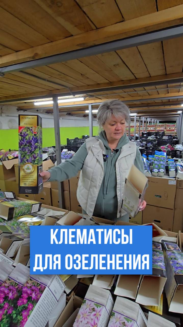 Клематисы для контейнерного озеленения!