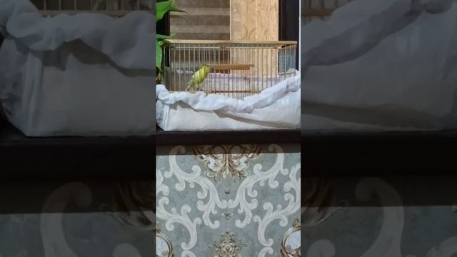 9 февраля 2023 г.(1)