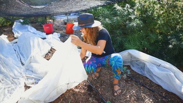 Part 3: Planting Fall Seed Starts | Checking In On The Seedlings смотреть онлайн