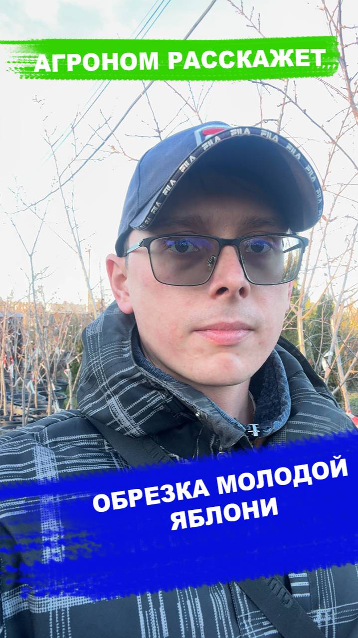Обрезка молодой яблони на сильнорослом подвое смотреть онлайн
