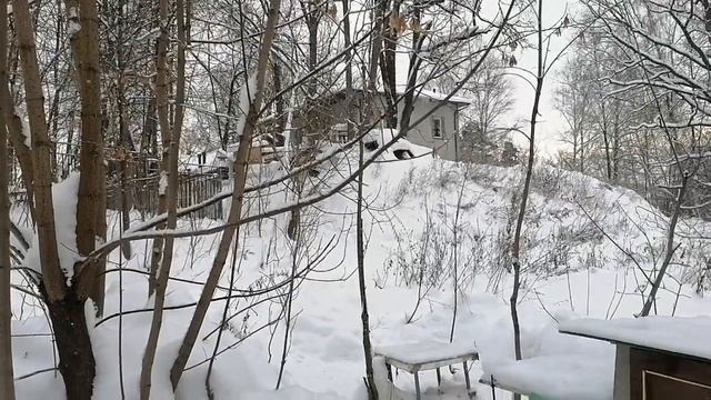 Домашний приют. Рыжик пришёл, целый и не вредимый. смотреть онлайн