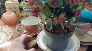 Барахолка_В_Риге_ март. Рената Смирнова. 2025