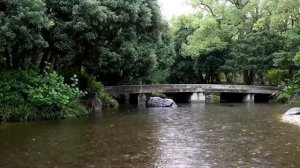 Звуки дождя, которые помогут вам заснуть 🌧️ Белый шум природы для глубокого сна