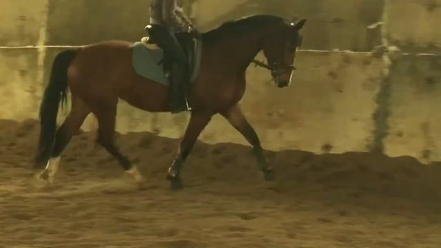 GABRIELA 02 рысьR смотреть онлайн