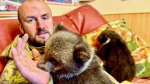 Денис всегда с радостью соглашается на игры с мишками, он просто НЕ МОЖЕТ СКАЗАТЬ ИМ НЕТ!