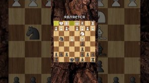 РУССКАЯ ПАРТИЯ - ЛУЧШИЙ ВАРИАНТ ДЛЯ ЧЕРНЫХ!!