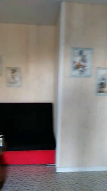 Румтур из номера в Судаке на Чёрном море в Крыму 3500 р. смотреть онлайн