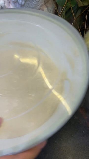 Люсине Вуаля! Рецепты и семья