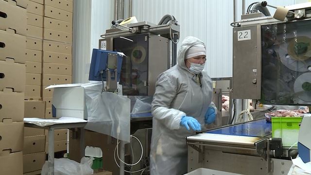 Маркировщик отделения обвалки мяса и изготовления полуфабрикатов