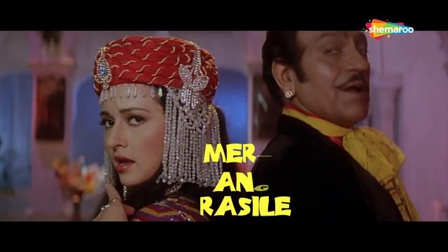 Gore Gore Gaal With Lyrics | Jai Vikranta (1995)| Zeba Bakhtiar | Amrish Puri | Hits Of Anand Milin