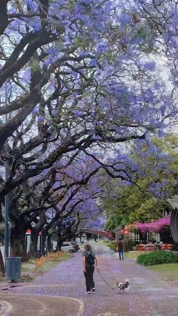 #youtubeshorts #travel #world #travel #travelvlog #argentina #buenosaires смотреть онлайн