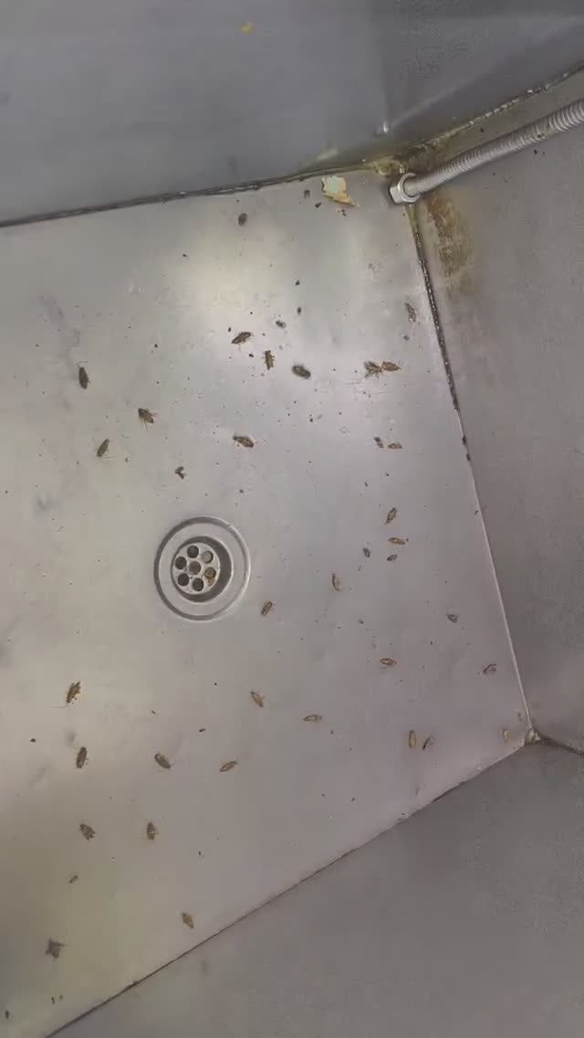 Видео Виктора