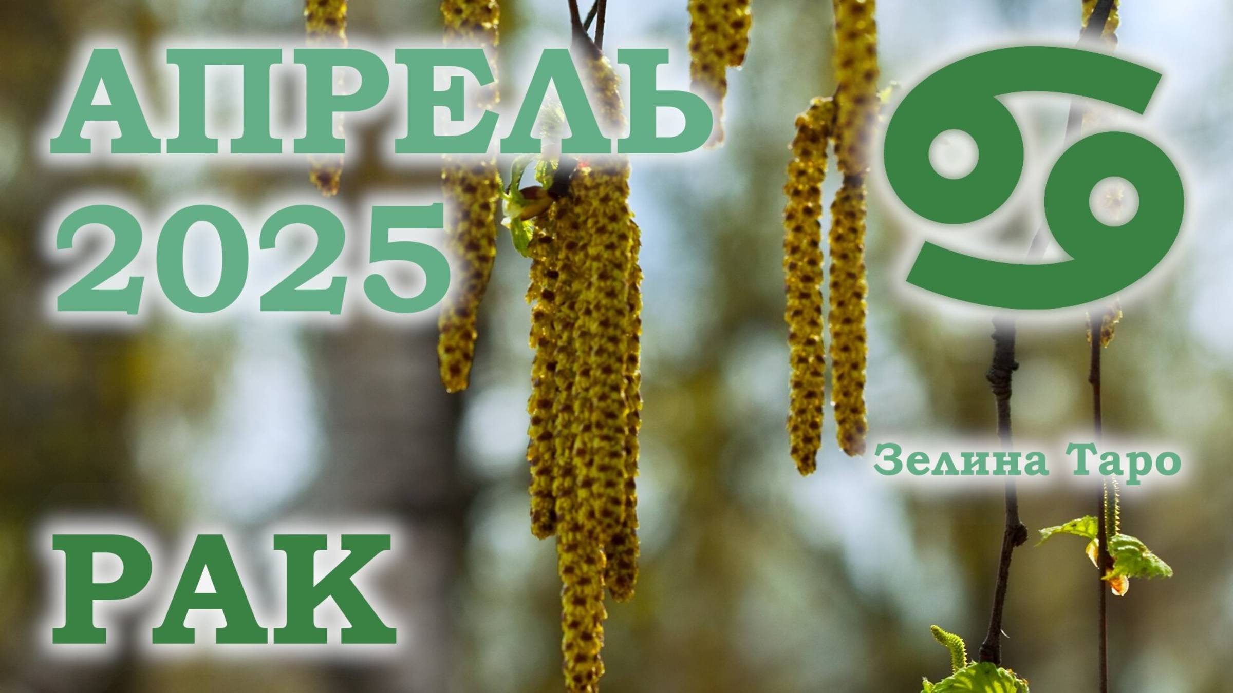 РАК | ТАРО прогноз на АПРЕЛЬ 2025 года | Желание | Расклад таро | Таро онлайн