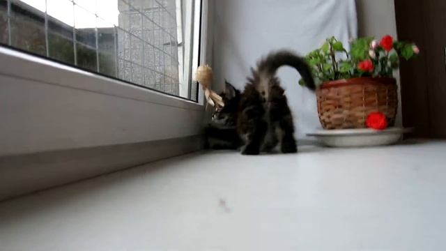 MVI 7677 смотреть онлайн