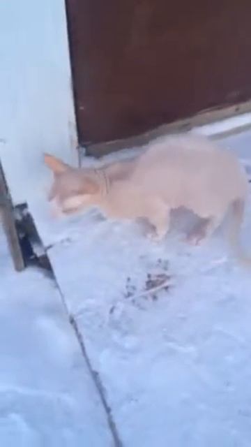 Якутские морозы смотреть онлайн