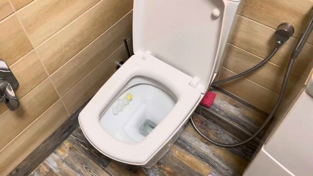 Допрос туалета. Видео из КГБ смотреть онлайн