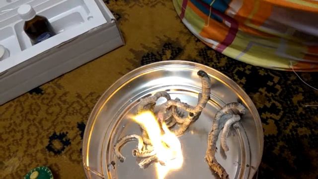 Адская змея 3 смотреть онлайн