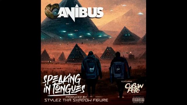 Canibus - Hate It Or Love It Pt. Infinity (ft. American Poets 2099) (Prod. Stylez Tha Shadow Figure смотреть онлайн