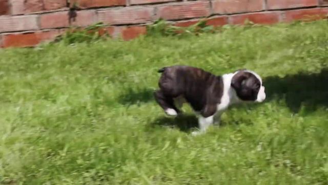 MVI 9242 смотреть онлайн