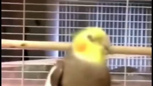 Начались летние каникулы: смотреть онлайн