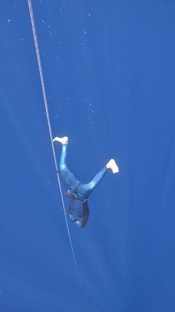 #фридайвинг #дыхание #дыхательныепрактики #ocean #freediving #дайвинг #море #нырок #глубина #киты смотреть онлайн