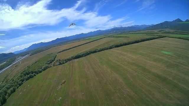 FPV Чилим вместе с соколом смотреть онлайн