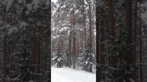 №74 Повышение уровня жизненных сил