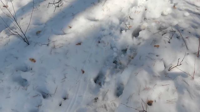 Глухарь чертил смотреть онлайн