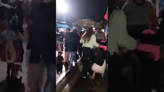 LIVE 🔴 | Traslado y Retorno de las Mayordomías de Santiago Apóstol | Cobertura2024 смотреть онлайн