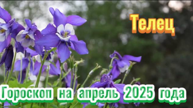ТЕЛЕЦ! Гороскоп на апрель 2025 года! смотреть онлайн