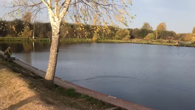 Утреннее зарыбление РК «Фишка» Петряиха смотреть онлайн