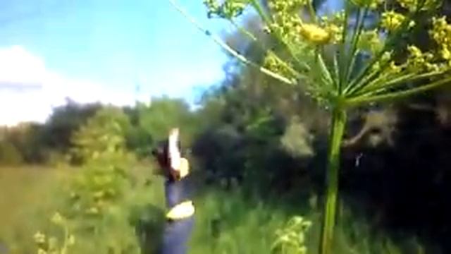 гулянки, не пьянки смотреть онлайн