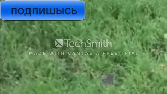 жесткий пацан смотреть онлайн