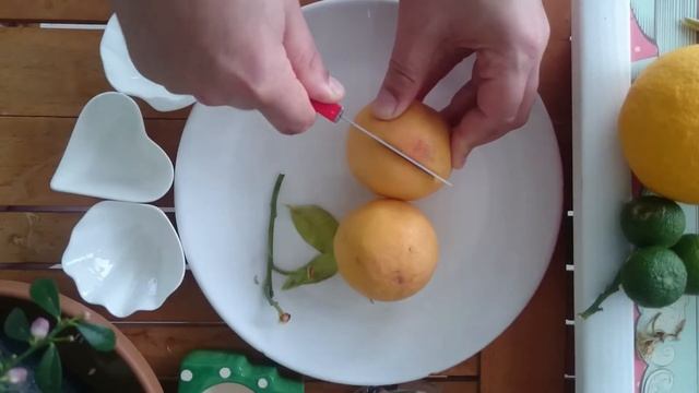 Star Ruby Grapefruit, Kanlı Greyfurt, egzotik meyveler, tropikal meyveler, mucize meyveler, greyfur смотреть онлайн