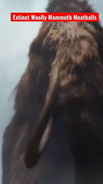This is the giant extinct woolly mammoth meatballs. смотреть онлайн
