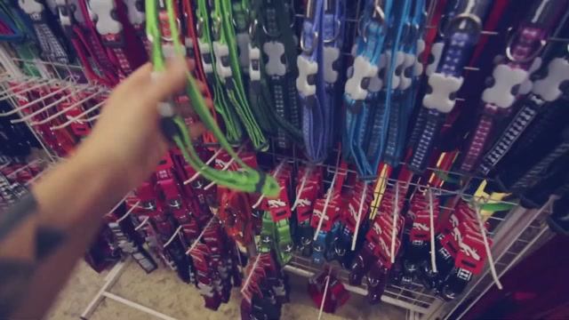 Зоомагазин для собаки: ошейники и адресники | Догмама 🐕🛍️ смотреть онлайн