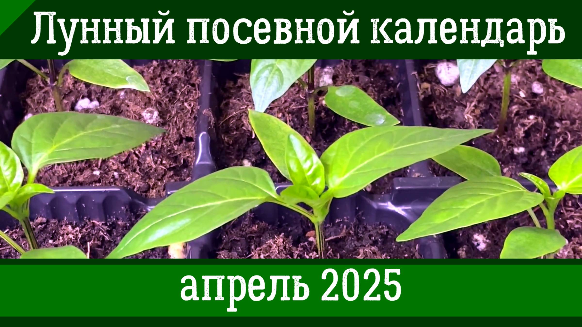 Лунный КАЛЕНДАРЬ САДОВОДА - ОГОРОДНИКА НА АПРЕЛЬ 2025 смотреть онлайн