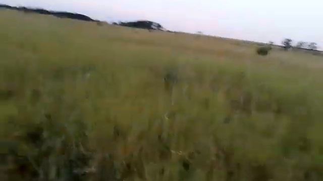 Аника в поле смотреть онлайн