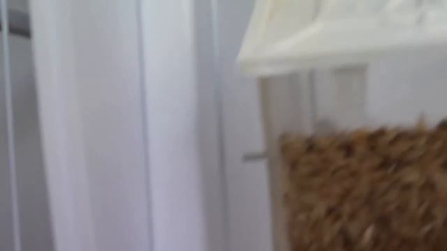 Red Clear Mosaic 17 10 12