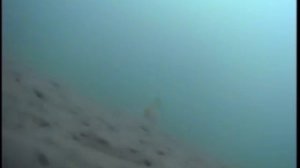 зимняя рыбалка