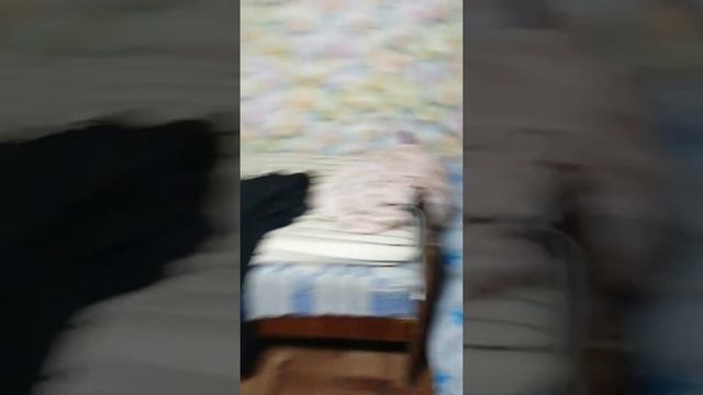 Снимаю квартиру. СКОЛЬКО Я ПЛАЧУ? ОБЗОР КВАРТИРЫ смотреть онлайн