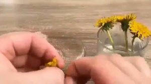 Чай из одуванчиков